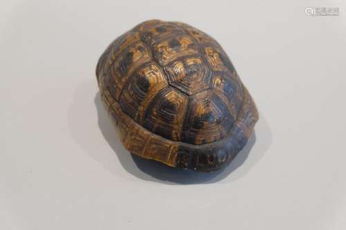 A WHOLE TORTOISE SHELL,12CMX6CM