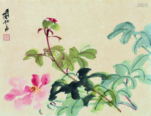 张大千（1899～1983） 牡丹花开 镜片 设色纸本