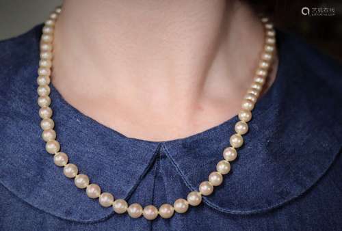 Collier de perles