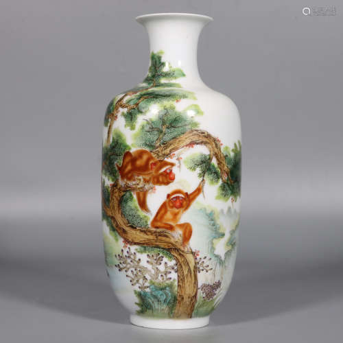 Chinese Qing Dynasty Kangxi Dou Cai Porcelain Bottle