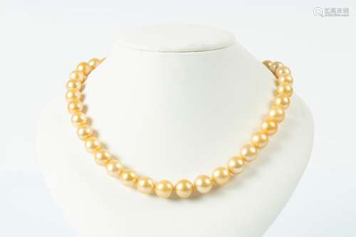 Important collier de perles gold en chute de 10,5 - 12 mm. F...