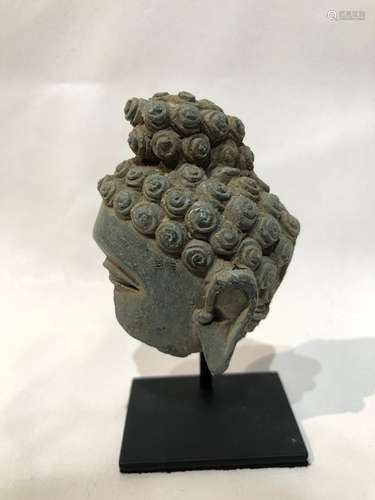 Gandhara Buddha Head Fragment