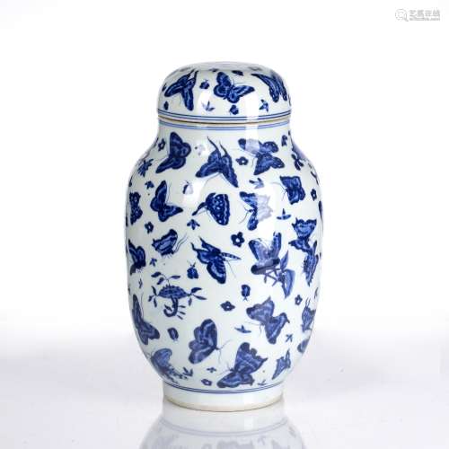 Blue and white porcelain vase and cover Chinese, 19th Centur...