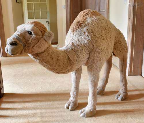 A LARGE WOOLLY CAMEL. 5ft long x 3ft 6ins high.