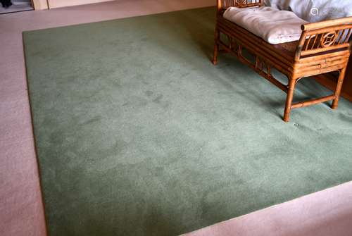 A PLAIN GREEN CARPET.