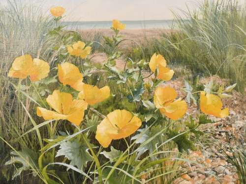 Mary Dipnall (b. 1936) British, 'Yellow Horned Poppies', oil...