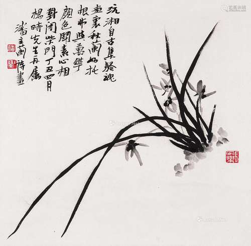 潘主兰（1909～2001） 兰花图 立轴 水墨纸本