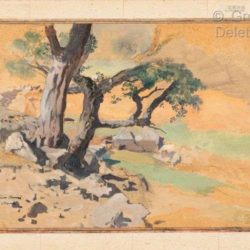 Léon CARRE (1878-1942) Etude d'arbres Huile sur panneau. Sig...