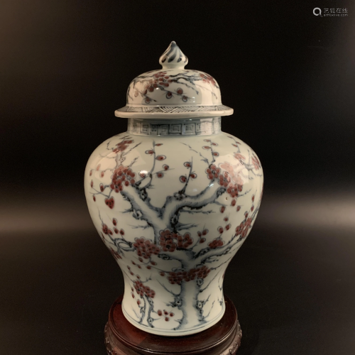 Chinese Blue and Red Glazed Jar