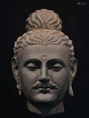 A GANDHARA GRAY SCHIST BUDDHA HEAD