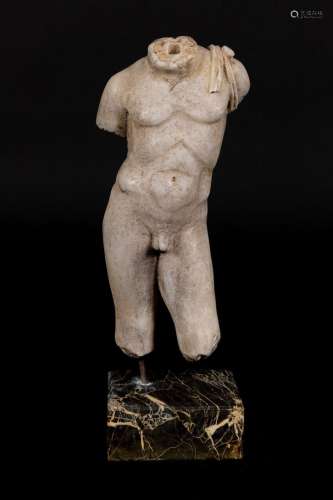Male marble torso