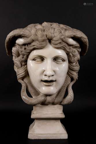 Medusa’s head