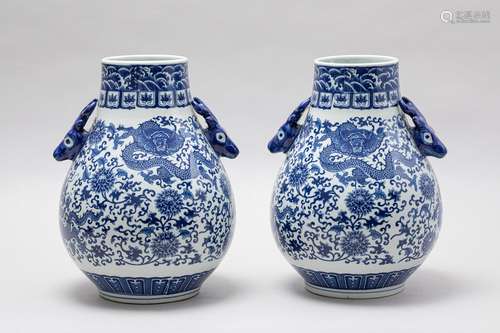 Pair of Chinese blue and white vases