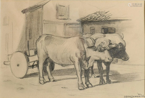 Jacob Dooijewaard. 1876 â€‹â€‹- 1969. Ox trowel at farm