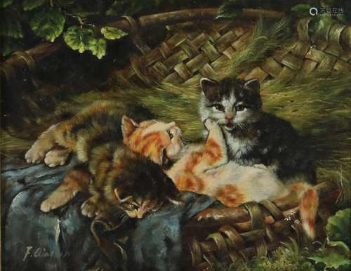 Wagnes, F. spelende kittens