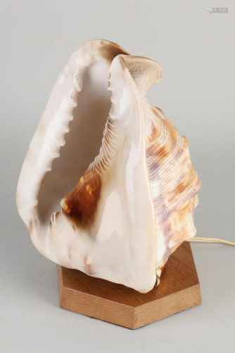 1950s table lamp with large seashell. Dimensions