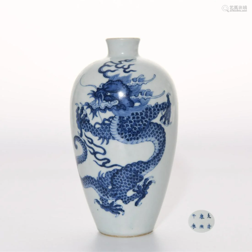 A Blue and White Dragon Meiping Kangxi Mark