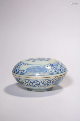 A BLUE AND WHITE BOX AND COVER.MING PERIOD