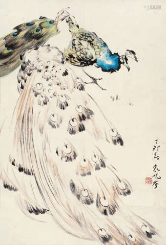 袁晓岑（1915～2008） 孔雀 镜片 设色纸本