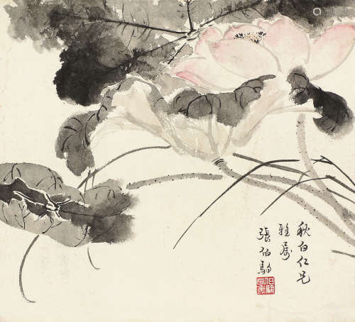 张伯驹（1898～1982） 荷花 镜片 设色纸本