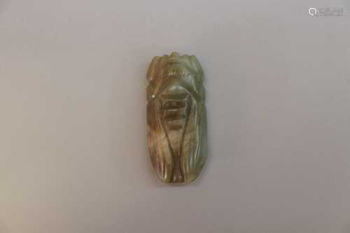 The han dynasty jade cicada