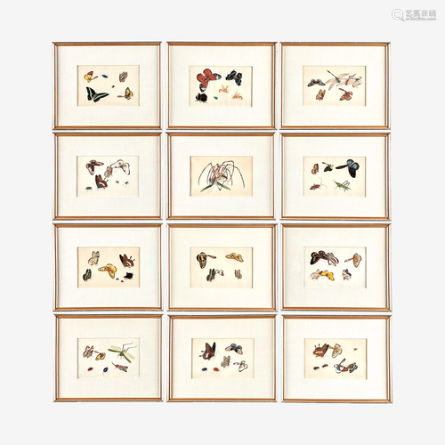 A Suite of Twelve Framed Chinese Export Paintings