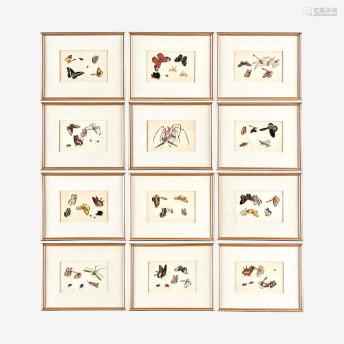 A Suite of Twelve Framed Chinese Export Paintings
