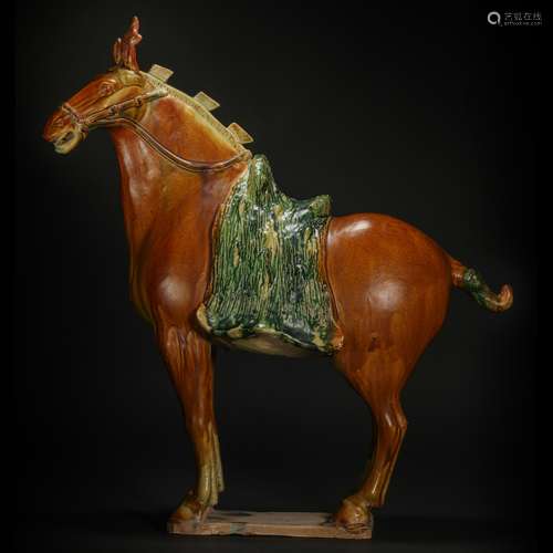 Tri-Colored Horse from Tang