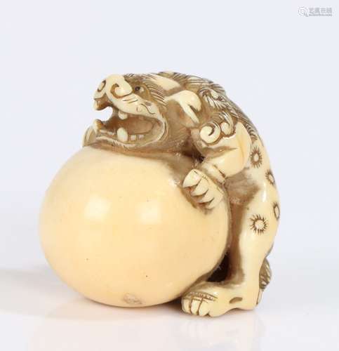 Japanese Edo period ivory Netsuke, carved as Shishi clutchin...