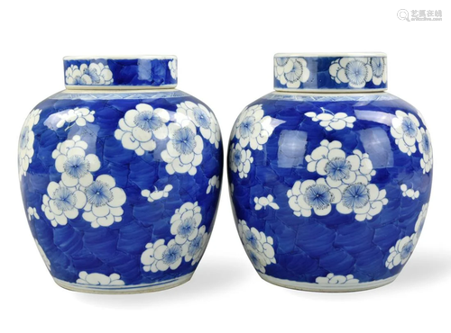 Pair of Chinese B & W Prunus Jar, Kangxi Period