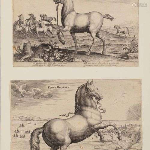 Philippe GALLE (1537 – 1612) Chevaux. 4 planches d'après Str...