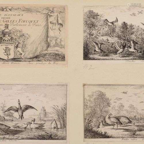 Albert FLAMEN (1620-1692) Livre d'Oyseaux : 11 planches (sur...