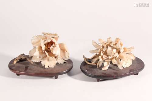 Deux fleurs en ivoire finement sculptées Japon, début du XXè...