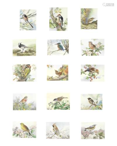 Winifred Austen (British, 1876-1964) A collection of ornitho...