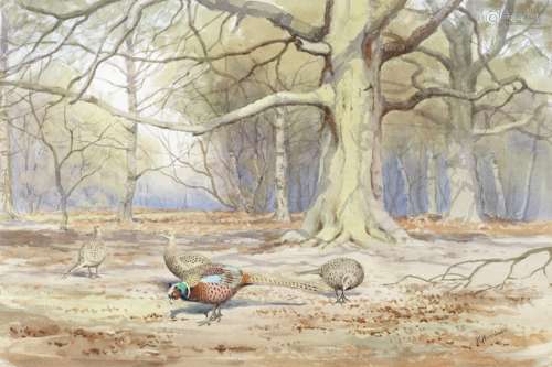 John Cyril Harrison (British, 1898-1985) Pheasants under bee...