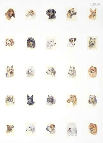 Peter Biegel (British, 1913-1987) A collection of dog studie...