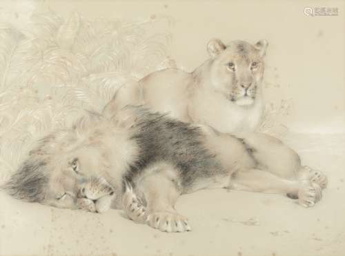 William Huggins (British, 1820-1884) Lion & lioness