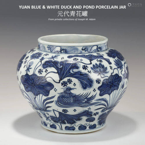 YUAN BLUE & WHITE DUCK & POND JAR