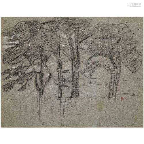 PAUL SÉRUSIER (1863-1927) ÉTUDE D'ARBRES Fusain, craie blanc...