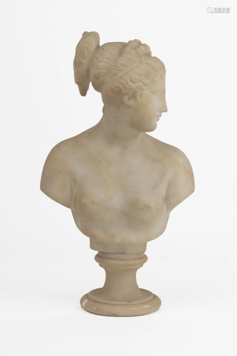 A first half of 20th century bust of Capitoline Venus