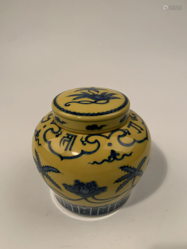 Chinese Blue and Yellow Glaze Jar