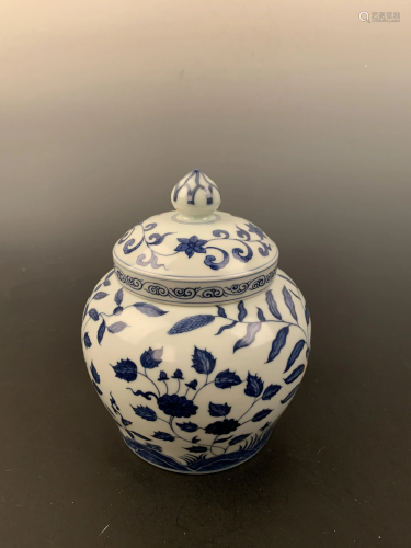 Chinese Ming Blue and White Jar