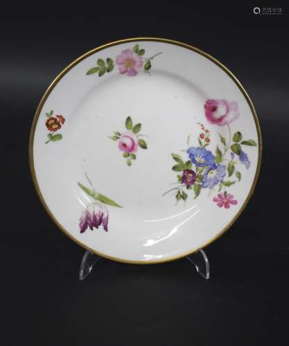 SWANSEA PORCELAIN BOTANICAL PLATE the plate painted with spr...