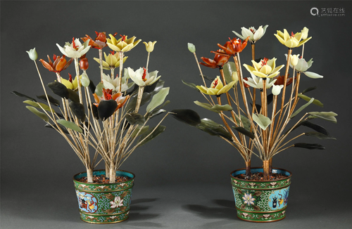 A PAIR OF CHINESE FLOWER BONSAI WITH CLOISONNE BASINS