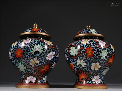 A Pair of Cloisonne Flower Patterned Lidded Jar