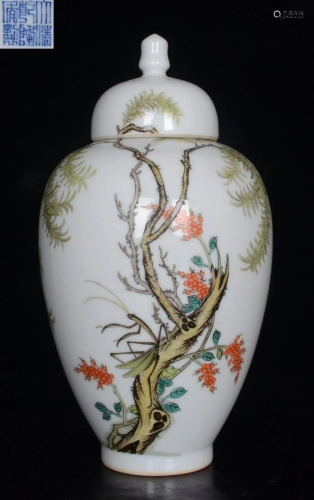 QIANLONG MARK FAMILLE ROSE GLAZE JAR WITH COVER
