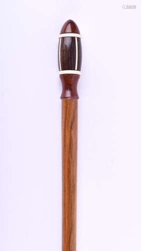 Gehstock um 1900 | Walking stick around 1900