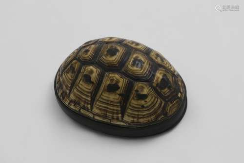 A GEORGE MOUNTED TERRAPIN SHELL SNUFF BOX with twin hinged c...