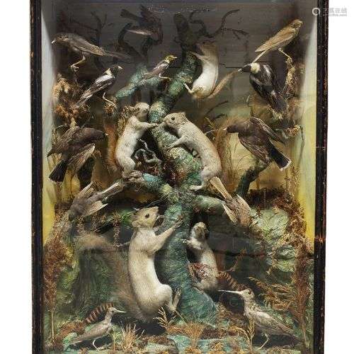 Diorama de taxidermie en caisse, début du 20e siècle, compre...