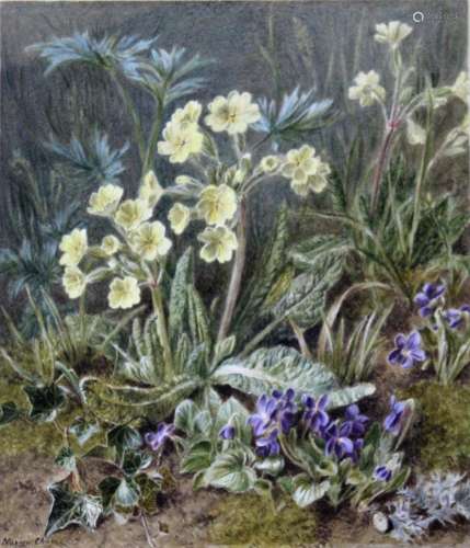 MARION EMMA CHASE (1844-1905) `WHERE OXLIPS AND THE NODDING ...